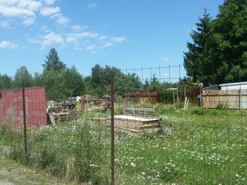 Foto 38